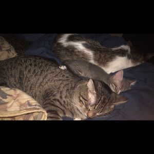 Meet your Posher, Holly